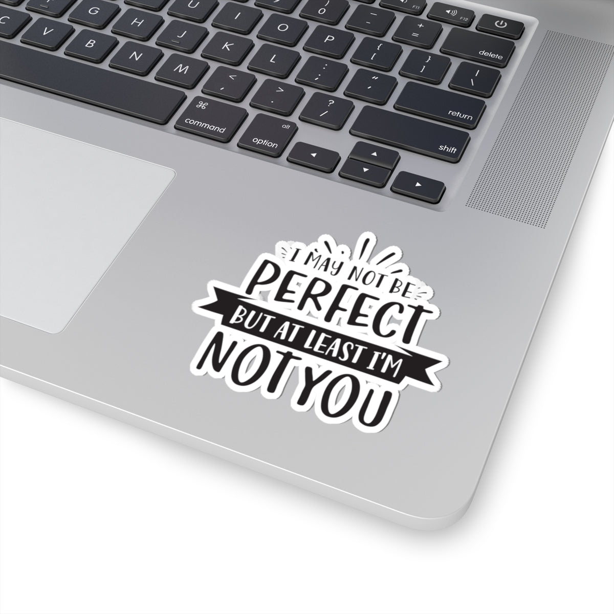 I May Not Be Perfect But At Least I'm Not You