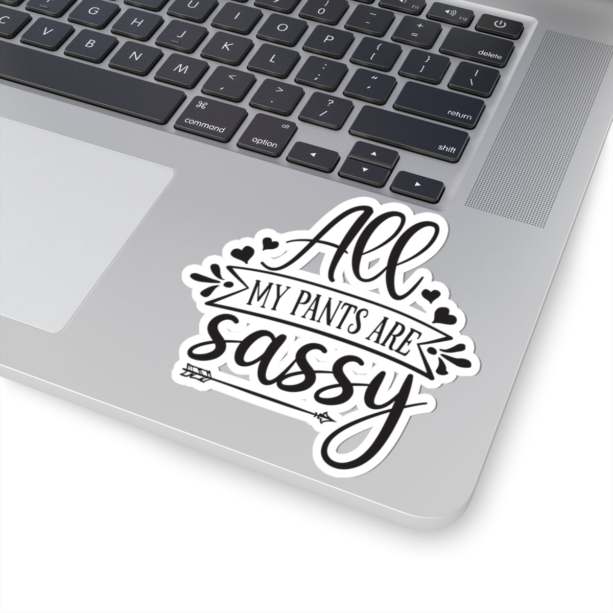 All My Pants Are Sassy