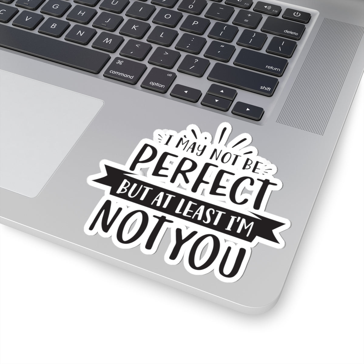 I May Not Be Perfect But At Least I'm Not You